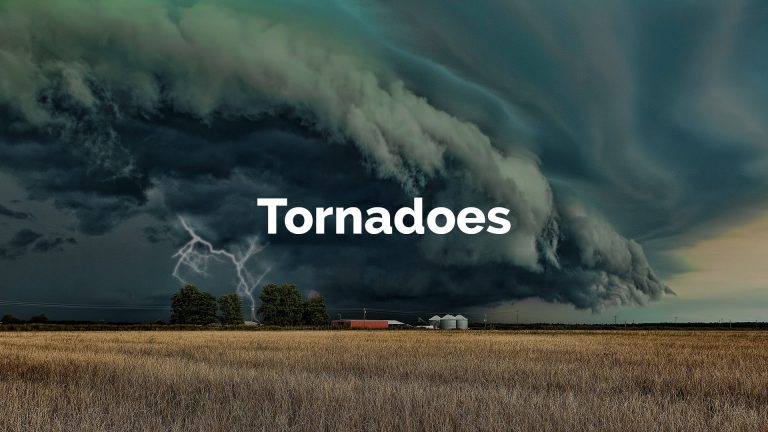 Research paper examples image