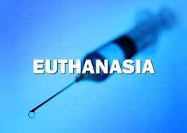 Research papers euthanasia