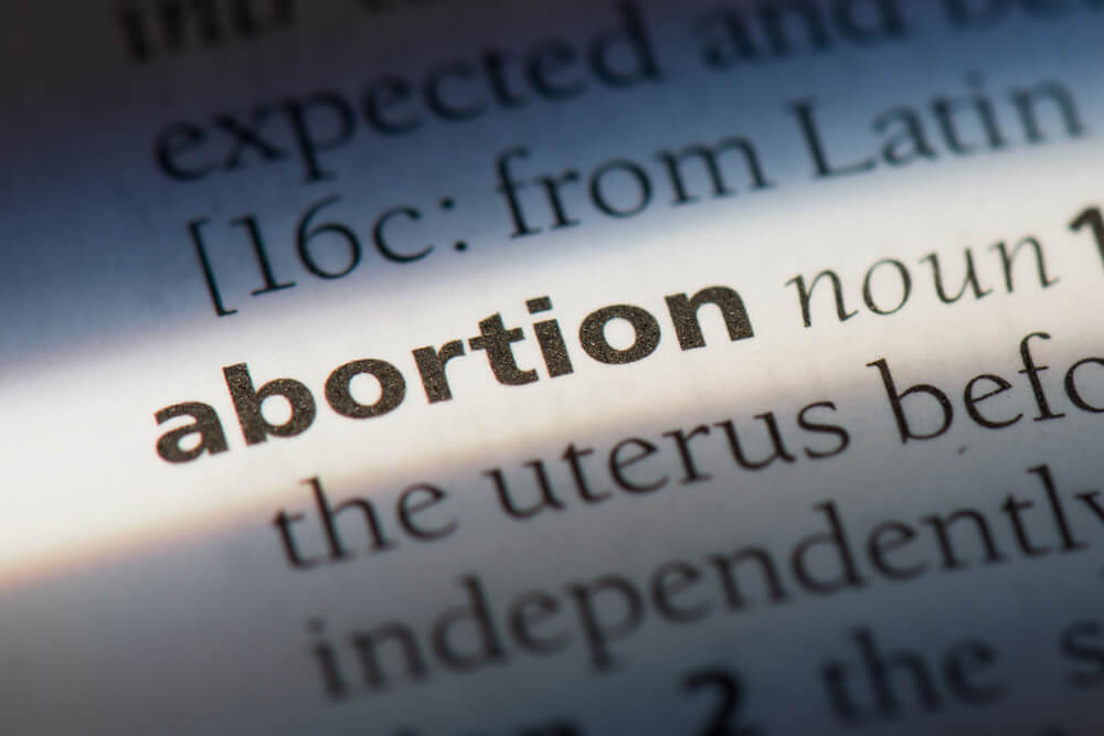 abortion research paper introduction