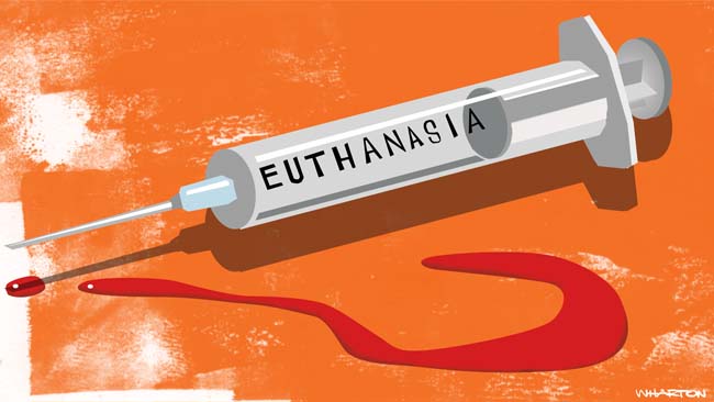 Research paper thesis help euthanasia