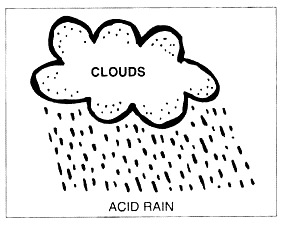 Реферат: Acid Rain Essay Research Paper Acid RainWhat