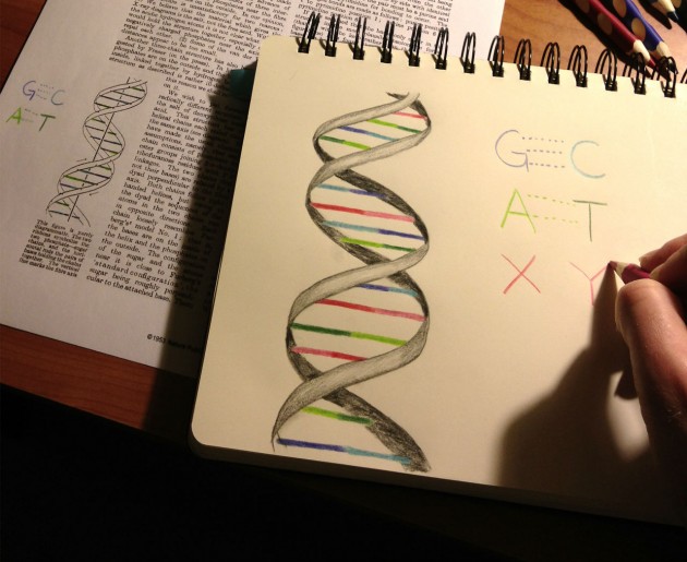 The Basics Of Choosing Genetic Research Paper Topics
