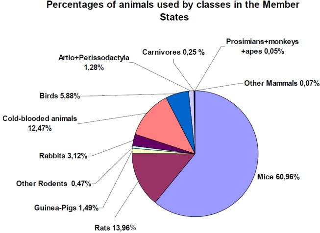 research paper statistics example