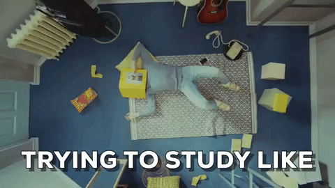 Wondering why haven’t you studied harder
